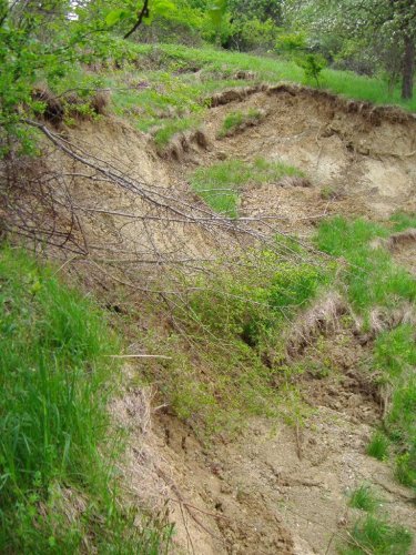 Sesuv půdy na Přecestném nad Žlebem - 7.5.2006